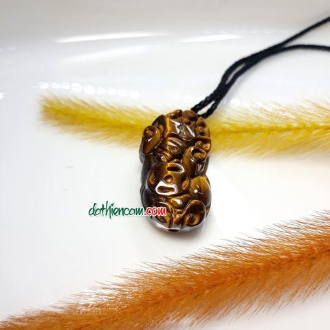 MẶT TỲ HƯU VÀNG