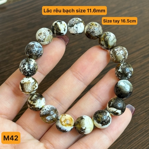 Lắc hổ phách rêu bạch size 11.5mm - M42