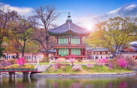 Cho thuê wifi du lịch Hàn Quốc và sim quốc tế giá rẻ