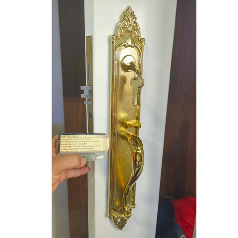 Khóa đại sảnh Yale M8773 G1 US3