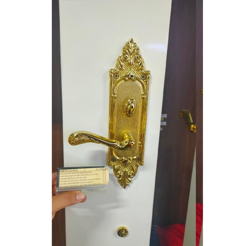 Khóa đại sảnh Yale M8773 G1 US3