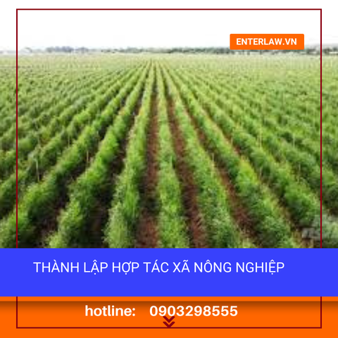 Hợp tác xã nông nghiệp | Thành lập trọn gói | Tư vấn chuyên sâu