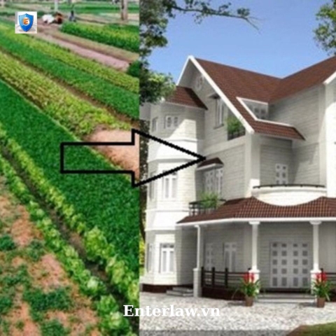 Tư vấn chuyển đổi mục đích sử dụng đất: Hồ sơ, thủ tục, chi phí cần biết!