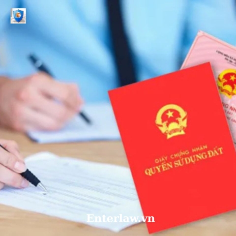 Dịch vụ làm lại sổ đỏ bị mất - Luật sư tư vấn uy tín, chuyên sâu