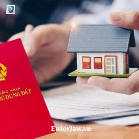 Tư vấn thủ tục sang tên đất cho con - Luật sư uy tín, chuyên sâu nhà đất