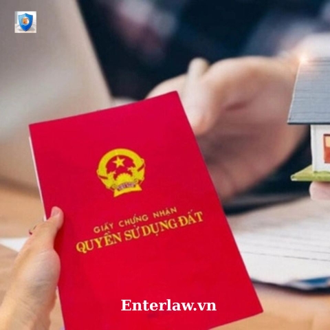 LUẬT SƯ ĐẤT ĐAI