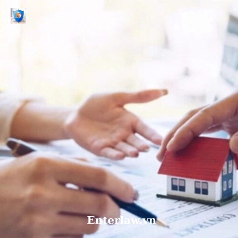 Dịch vụ tư vấn khiếu nại đất đai - Luật sư uy tín, chuyên sâu