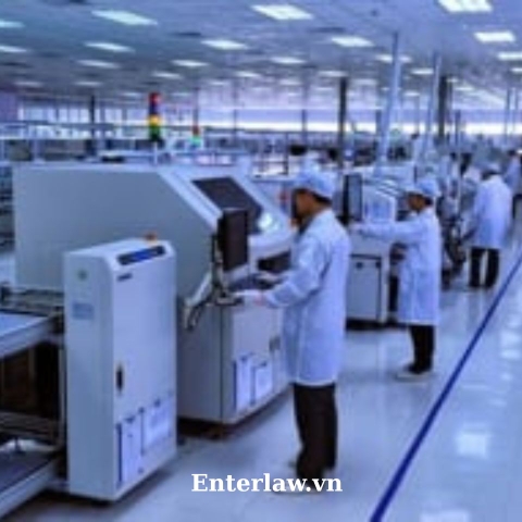 Tư vấn xử lý kỷ luật lao động - Luật sư chuyên sâu, uy tín