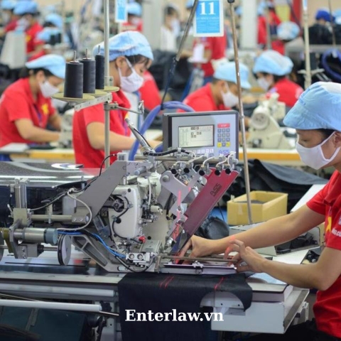 Tư vấn, soạn thảo, đăng ký văn bản trong quản trị nhân sự