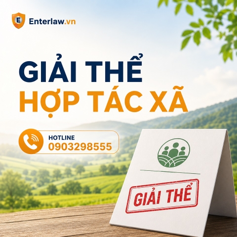 Giải thể hợp tác xã theo Luật Hợp tác xã 2023: Điều kiện, thủ tục và dịch vụ trọn gói