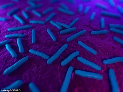 Vi khuẩn kháng tất cả các loại thuốc được phát hiện tại Mỹ