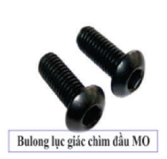 Bulong mạ, thường, inox
