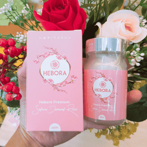 Hebora Sakura Damask Rose Nhật 60 viên