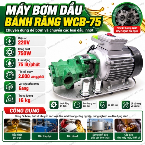 Máy Bơm Dầu Nhớt Bánh Răng 220V WCB-75 (75L/P) | Máy Bơm WCB75 220V