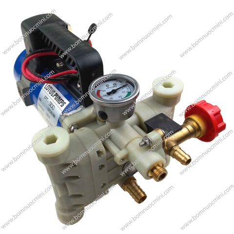 Máy Bơm Áp Lực Pittong 12V/24V PT-300