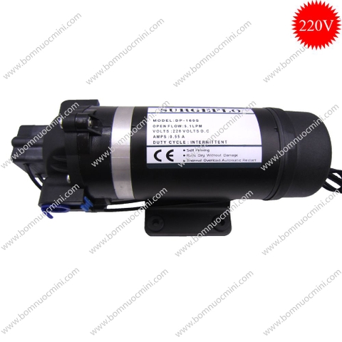 Máy Bơm Áp Lực SURGEFLO 220V DP-160S