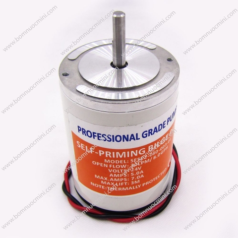 Động Cơ Chổi Than 12V 168W 2800RPM | Brushed Motor 12V