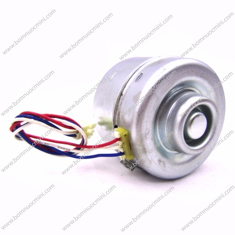 motor không chổi than 12v