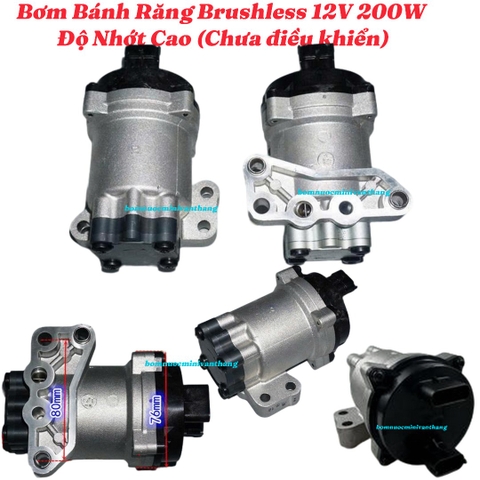 Máy Bơm Bánh Răng Brushless 12V 200W Độ Nhớt Cao (Chưa điều khiển)
