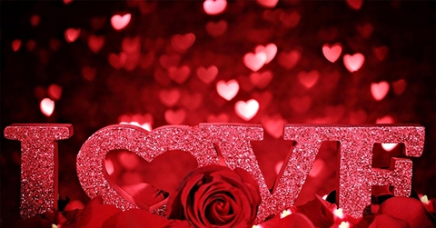Hoa Valentine - cá nhân hóa với màu sắc riêng hot nhất