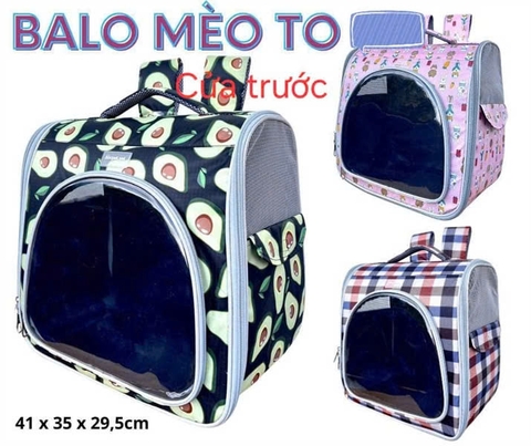BALO FORM LỚN - CỬA TRONG SUỐT PHÍA TRƯỚC