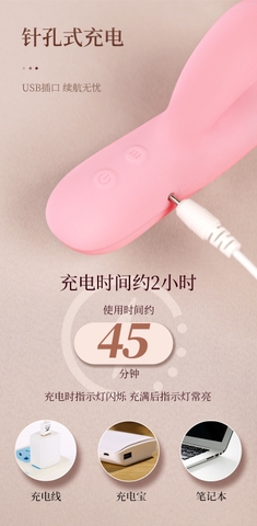 Dương Vật Dildo Ngụy Trang Rung Sạc - DV276