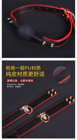 Bộ Đồ Chơi Phòng The BDSM 16 Món Kèm Vali - BD32