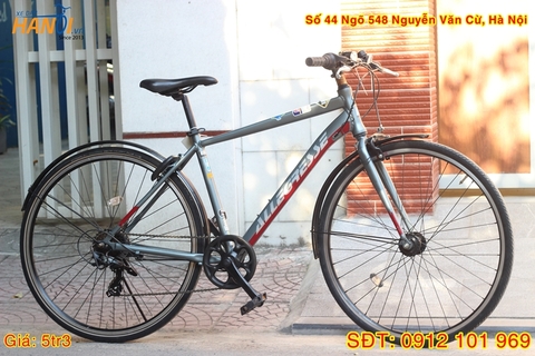 Xe đạp Touring Nhật bãi Allegresse tới từ Nhật Bản