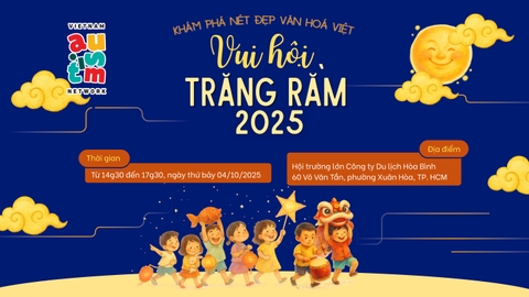 Mạng lưới Tự kỷ Việt Nam Tổ chức 