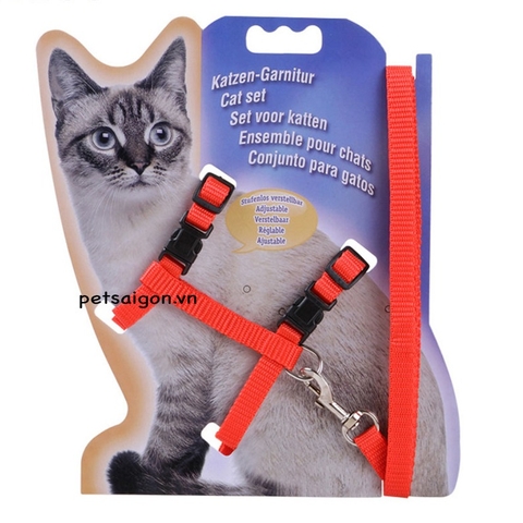 Bộ Dây Dắt Mèo Chuyên Dụng (màu ngẫu nhiên)