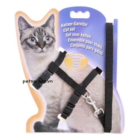 Bộ Dây Dắt Mèo Chuyên Dụng (màu ngẫu nhiên)