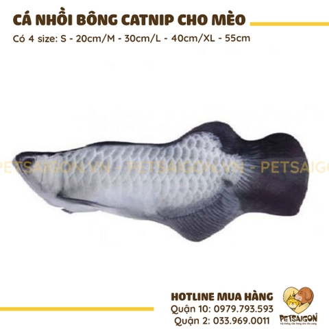 Cá Nhồi Bông Cho Mèo Có Catnip