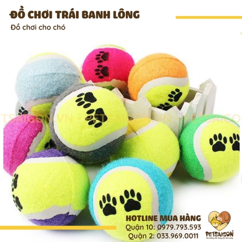 Đồ Chơi Cho Chó Trái Banh Lông Có Còi