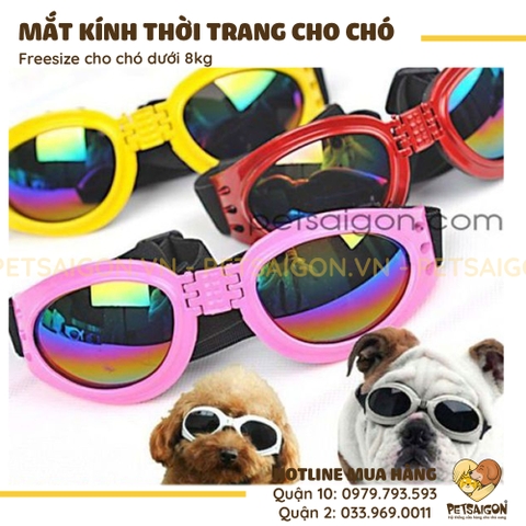 Mắt Kính Cho Chó Hợp Thời Trang