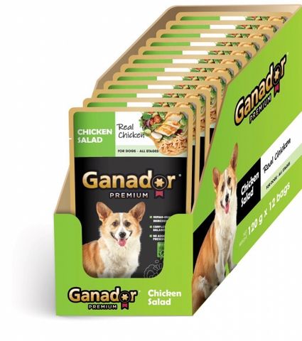 Pate Cho Chó Ganador Dạng Xốt 120g