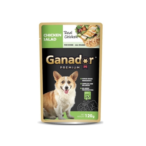 Pate Cho Chó Ganador Dạng Xốt 120g