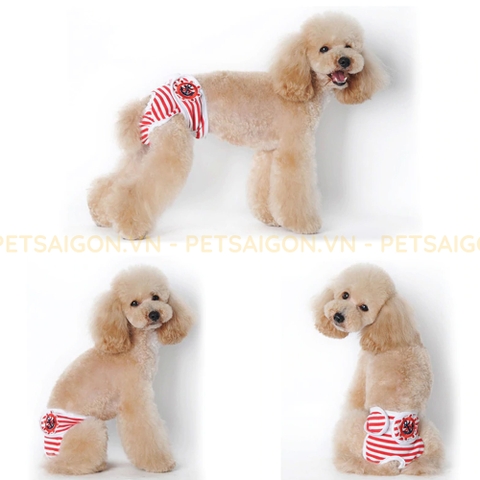 Quần Sinh Lý Cho Chó Mèo