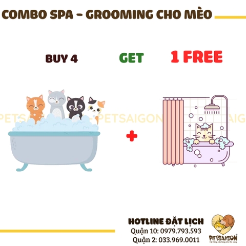 Combo Spa-Grooming Cho MÈO 4 Tặng 1
