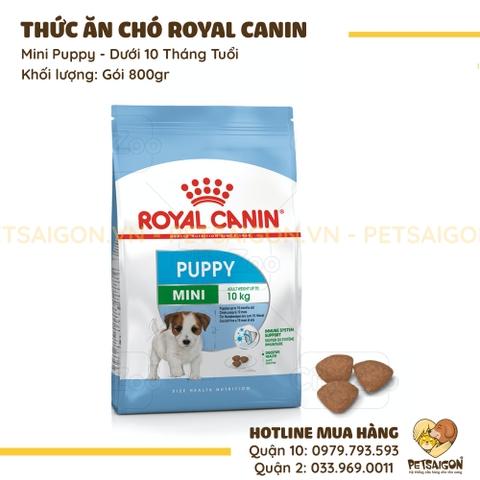 Thức Ăn Cho Chó Giống Nhỏ Dưới 10 Tháng Royal Canin Mini Puppy