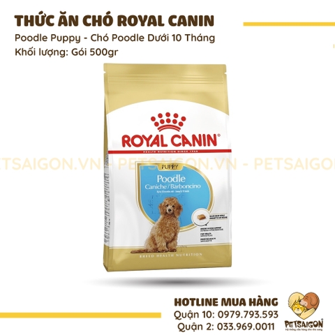 Thức Ăn Cho Chó Poodle Dưới 10 Tháng Royal Canin Poodle Puppy