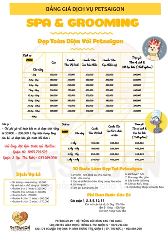 Combo Spa-Grooming Cho CÚN 4 Tặng 1