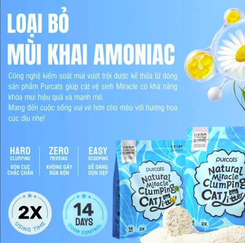 Cát Vệ Sinh Cho Mèo Đậu Nành Cature Tofu