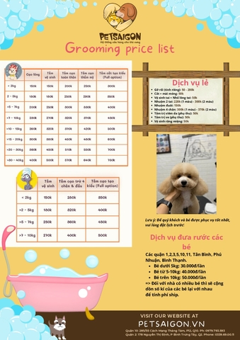 DV Spa & Grooming Cho MÈO