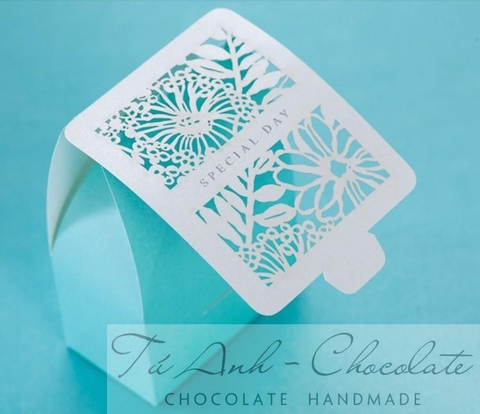 Hộp quà cứoi TÚ ANH 05