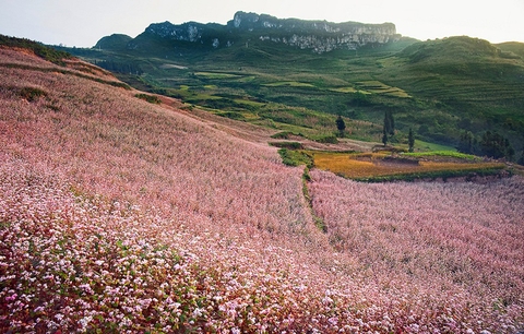 Chi phí đi Hà Giang 3 ngày 2 đêm hết bao nhiêu?