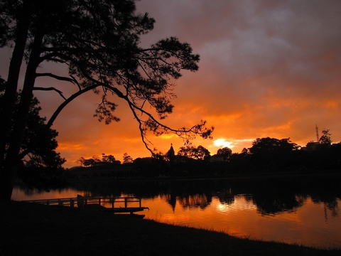 Tại sao giới trẻ luôn muốn tới Đà Lạt dù chỉ một lần trong đời