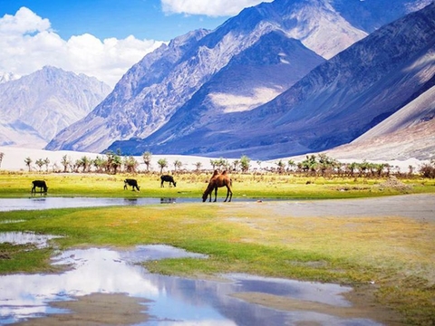 Mách bạn kinh nghiệm du lịch Ấn Độ tự túc đầy đủ và chi tiết nhất