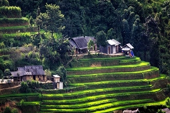 những khu nghỉ giữa núi rừng Sapa mê hoặc các tín đồ du lịch