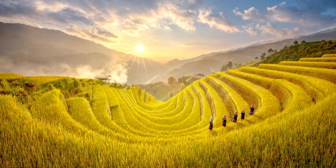 DU LỊCH MÙ CANG CHẢI NHỮNG ĐIỀU BẠN CẦN BIẾT