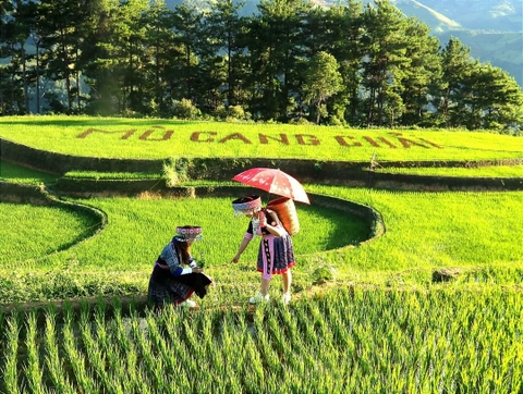 Hà Nội - Mù Cang Chải - Trạm Tấu - Cu Vai - Hà Nội (3 Ngày 2 Đêm)